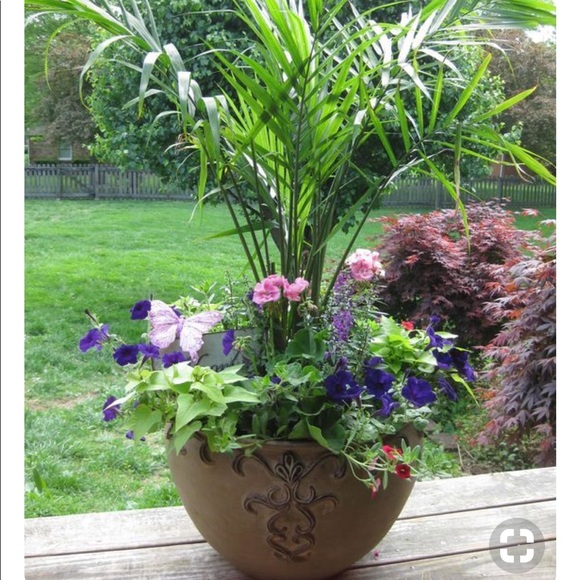 Meet your Posher, Disney40 - Picture 1 of 1